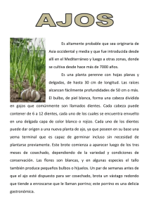 Es altamente probable que sea originaria de Asia occidental y