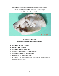 Placenta y anexos ovulares - Biología Celular, Histología y