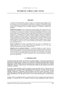 enteritis vírica del pato