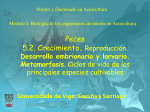 Peces 5 2 Crecimiento Reproducción Peces 5 2 Crecimiento