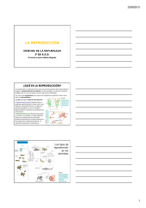 LA REPRODUCCIÓN