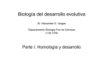 Biología del desarrollo evolutiva