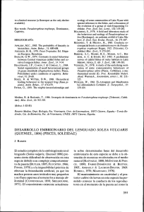 desarrollo embrionario del lenguado solea vulgarzs