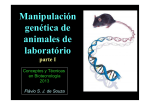 Manipulación genética de animales de laboratório
