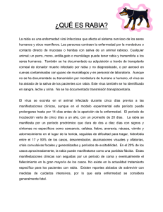 ¿QUÉ ES RABIA?
