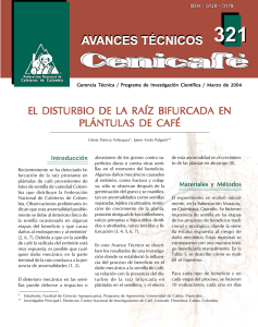 el disturbio de la ra‹z bifurcada en plÿntulas de café