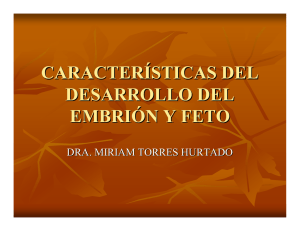 desarrollo embrionario.