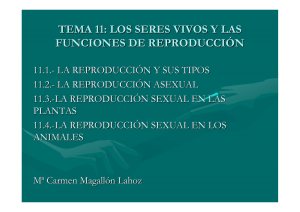 TEMA 11: LOS SERES VIVOS Y LAS FUNCIONES DE