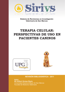 terapia celular: perspectivas de uso en pacientes caninos