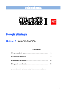 Unidad 4 - IES Monterroso