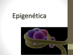 teórica epigenética