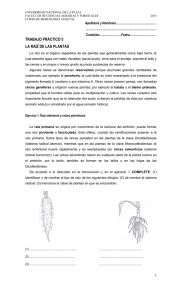 File - Morfología Vegetal