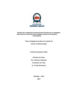 Visualizar / Guardar - Home E