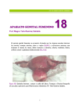 capítulo 18: sistema reproductor femenino