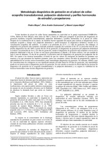 Metodología diagnóstica de gestación en el pécari de collar