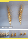 biointa 1002