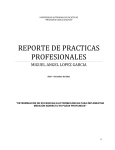 reporte de practicas profesionales - Inicio