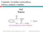 Capítulo- 14 ácidos carboxílicos, ésteres, aminas y amidas 14.3