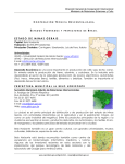 Estados Federados y Prefecturas del Brasil