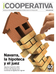 Navarra, la hipoteca y el juez