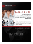 camels - b - cor - Camels Ratings System
