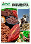 situación del cacao en guinea ecuatorial