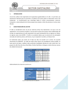 SECTOR CAFETALERO