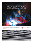 Propuestas para el Desarrollo de la Industria Metalurgica