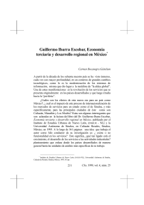Guillermo Ibarra Escobar, Economía terciaria y desarrollo regional