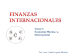 Tema 7 Economía Monetaria Internacional