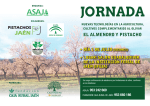el almendro y pistacho - Fundación Caja Rural de Jaén