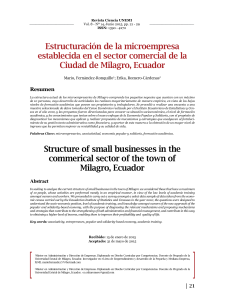 Estructuración de la microempresa establecida en el sector