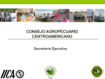 1. Presentación Consejo Agropecuario Centroamericano
