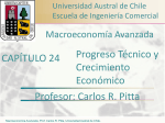 Progreso Técnico y Crecimiento Económico Profesor: Carlos R. Pitta