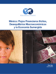 México: Flujos Financieros Ilícitos, Desequilibrios Macroeconómicos