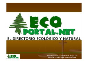 CURSO DE ECONOMÍA ECOLÓGICA Dr. Walter A. Pengue