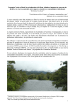 Economía Verde en Brasil, la privatización de la Mata Atlántica