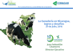 Guapinolapa: A solid beef investment opportunity in Nicaragua