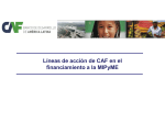 Líneas de acción de CAF en el financiamiento a la MIPyME