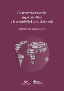 Del desarrollo sostenible según Brundtland a la