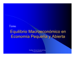 Equilibrio Macroeconómico en Economía Pequeña y Abierta
