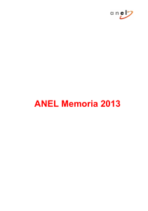 ANEL Memoria 2013