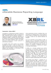 XBRL eXtensible Business Reporting Language