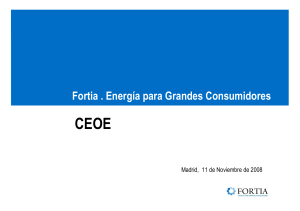 Fortia . Energ&iacute;a para Grandes Consumidores