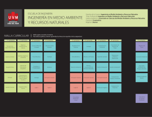 Ingeniería en Medio Ambiente y RR.NN.