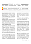 El Dossier de - CAMARA HISPANO COLOMBIANA