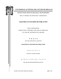 Nueva Ruralidad. Estructura y Din&aacute;mica del ERNA en Hidalgo. El