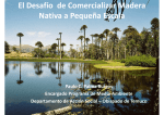 El Desafío de Comercializar Madera Nativa a Pequeña Escala
