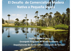 El Desafío de Comercializar Madera Nativa a Pequeña Escala