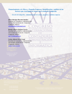Financiamiento a la Micro y Pequeña Empresa